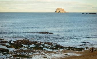 Bass Rock View