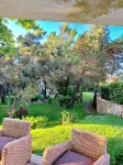 Green Park Hotel Hotels near Gregoland
