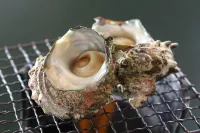 Echizenkaigan Tamagawa No Yado Iwamotoya Hotels in Етідзен