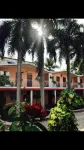 棕櫚旅館酒店