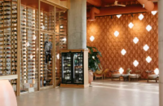 Epidamn White Sensation