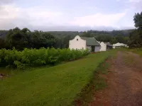 Tsanana Log Cabins and Mullberry Lane Suites Hotels in Graskop