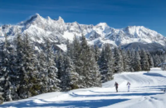 Aparthotel Jagdhof  &  Nebenhaus Hotels in Filzmoos