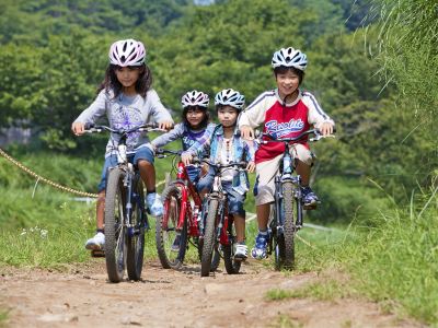 ホテル周辺 ホテルサンバレー伊豆長岡 本館の写真