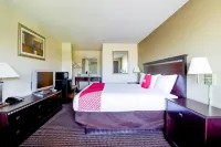 OYO 호텔 엘로이 / 카사 그란데 니어 I-10