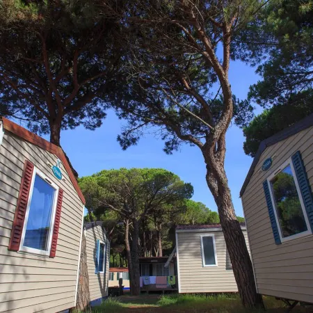 Pineta Sul Mare Camping Village