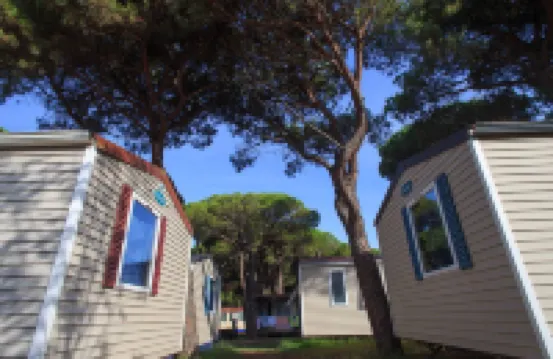 Pineta Sul Mare Camping Village