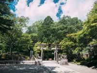 Alternative Space & Hostel "Center" in Kanuma