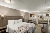 Red Roof Inn Enfield - Motel