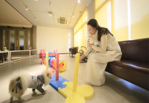 Yururi Nishiizu 레스토랑