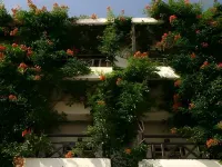 Azure Mare Hotel