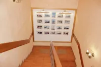 Добр Здравич