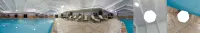 Holiday Inn SOUTH PLAINFIELD-PISCATAWAY by IHG - Pools