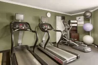 Clarion Inn Asheville Airport - Gym