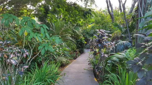 Hotel Colinas del Sol Hotels in Jesus