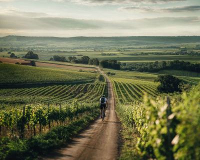 ホテル周辺 ファルケンスタイナー バランス リゾート シュテガースバッハ(大人専用)の写真