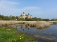 Quiet location between the Gulf of Morbihan and the magnificent beach of Suscinio - Ty Maez