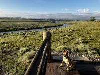 River Frontage! Beautiful log home sitting on Yellowstone River with 360  views!