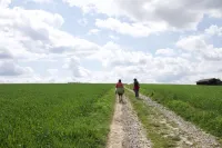Dorf & Natur