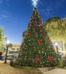 Ocala Downtown Square Apartment