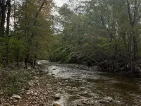 Cozy Cabin - walking distance to town and 10 minutes to Bromley. Pet friendly! Hotels in Manchester Center