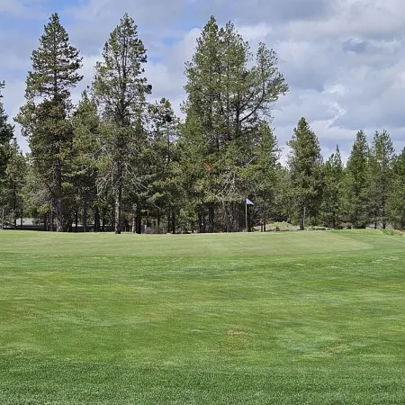 Newly Remodeled Condo on Golf Course, A/C, Pet Friendly, SHARC passes, Bikes.