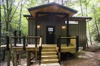 Luxury Treehouse 20 miles from asheville.