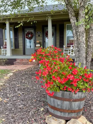 Guitars & Harmony Hotels in Central City