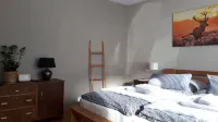Quietly located vacation home with large outdoor area