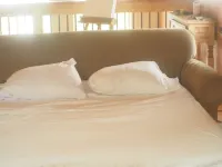 Luxury ranch home/cabin mountain retreat  Carson Natl Forrest