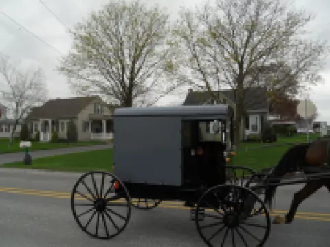 Cozy country bungalow within the Amish Community Hotels in Upper Leacock Township