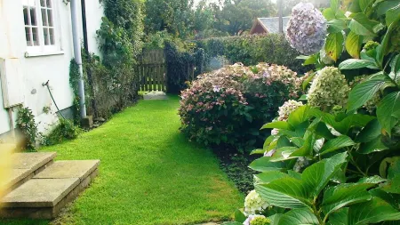 Pretty cottage with direct access to The New Forest