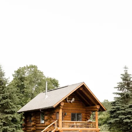 Handcrafted Riverfront Cabin on 10 acres