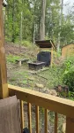 1-bedroom cabin 5 miles from Cumberland Falls and Daniel Boone National Forest