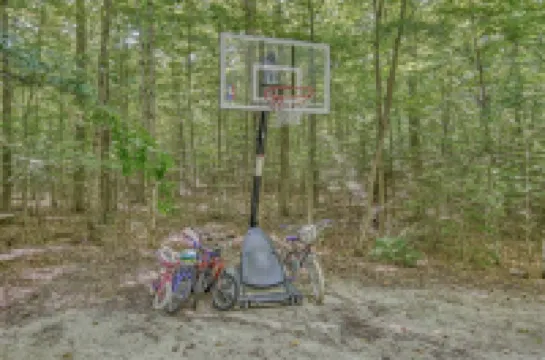 Hand Hewn Log Cabin Newly Renovated, rustic-modern design