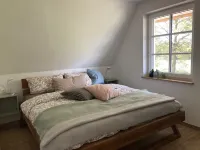 Luxusurlaub Unter Reet am Salzhaff. Surfen, Radfahren, Wandern - mit Hund!