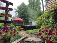 Amazing Whimsical Mtn Cabin! Pet Friendly, Hot Tub, Fireplace, Winery, Skiing