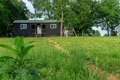 Meadow View Tiny Home Style Cabin near the Buffalo River. Pet Friendly Hotels in Rock Creek Township