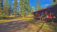 Huckleberry Cabin ~ Fish, Ski, Golf, Play, Relax!  St Regis, Montana