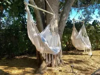 5. Near Beaches/PGA/Downtown/Roger Dean Stadium Hotel in zona T.J. Maxx