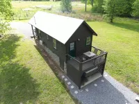 The Bird house