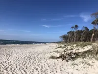 Ein Zimmer Apartment mit Kitchenette, Balkon, Bad im Landhausstil Hotels in Prerow