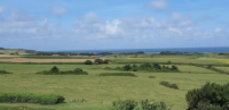 Cute detached house. Hotels in Wissant