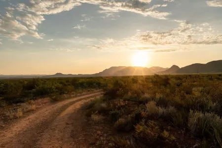 ALMA RANCH ~ ALMA 1~