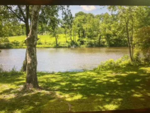 Create Memories at our Modern Waterfront 1 BR Apartment: Hike, Sip Wine, Relax!