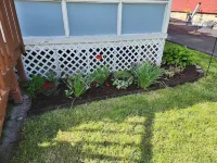 Best in the Bay!! 3B/1.5ba, Pet friendly Home