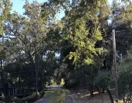 Welcome Inn: Family Friendly Oasis among the Oaks in Wine Country Hotels in Atascadero