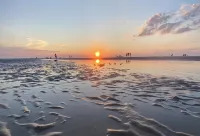 Cozy Cape House - Family Friendly with Great Outdoor Space Hotels in Yarmouth Port