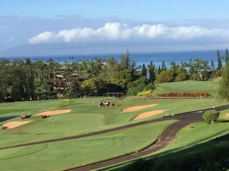 Maui, island of the Haleakala Volcano is the heart chakra of the earth Отели рядом с достопримечательностью «Капалуа Теннис Гарден»