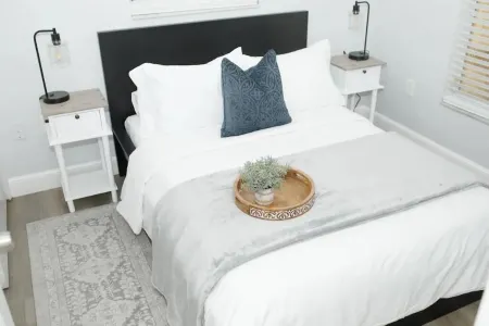 Tampa Hard Rock Busch Gardens Moffitt Center USF!